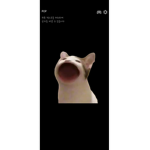 개구리와병아리