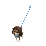 Bens The Dog