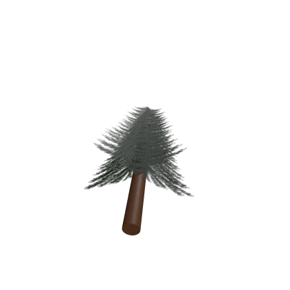 Pine tree