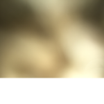 Robkali26