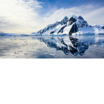 The Tundra