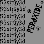D3str0y3d.
