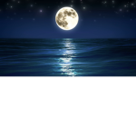 ~Moon_Lights~