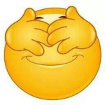 sosofiaa