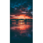 ~•_Aesthetic sunset squad_•~
