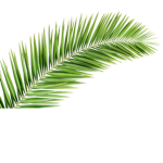 Tropic Survival