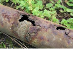 rust eaters