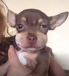 Jo.xhaa Group Thumbnail