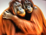 THE MONKEY MARINES