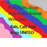 Rats, dogs and Cats United!