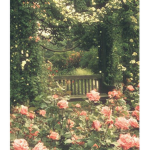 fluer belle