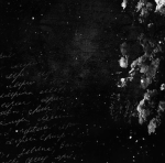 poem she wrote