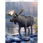 The Moose Hotshots