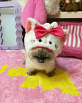 boredom cloth