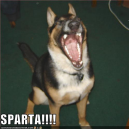 This is Sparta Dog Roblox decal