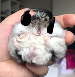 Chicken Nugget0