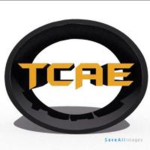 TCAE123 Fan Group (Robux)