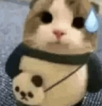 ykto