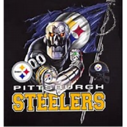 ########## Steelers Stadium