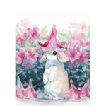 +Cat & Dog Group+