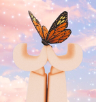 :D Butterflies :D