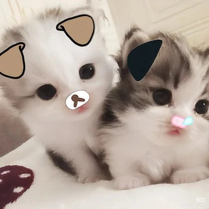 fluffyunicorns ;3 Roblox group icon