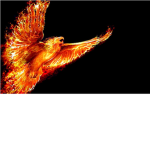 The Dark Phoenix Of The Dark And Light Skys