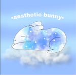 •Aesthetic bunny’s•