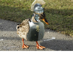 Epic Duck Training (BIG THANKS TO GDFALEX45)