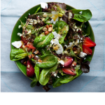 Salad's Group