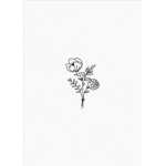 thegroup001