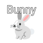 BUNY FAN CLUB