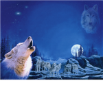 Dark Shadows Wolf Pack