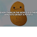 PotatoSquad