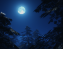 Dark forest(Early Beta)