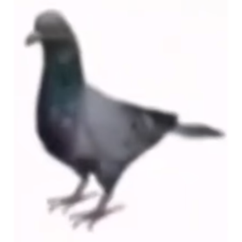 Город голубей