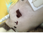pusheen forever :3