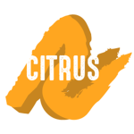 Citrus Designs Inc.
