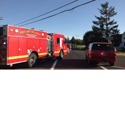 Town of Forest Grove NJ