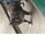 내 친구들 방