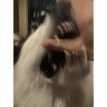 ʙᴇᴀʀ!