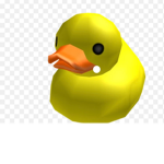 Ducky squad alpha