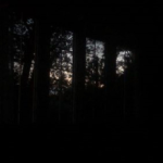 finnesse