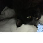 Clothing Australia
