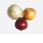 ONION FANS GROUP 2