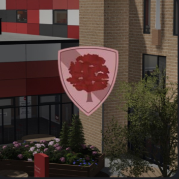 Oakwood Academy | New Release
