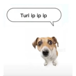Turi ip ip ip ip ip ip ip tsha ik ip tu## ## ik ip