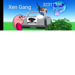 Xeni Gang