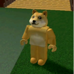 Doge piggy