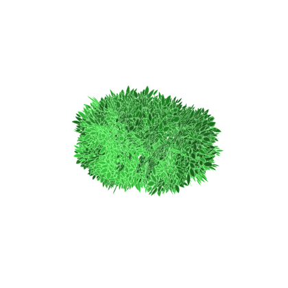 Bush